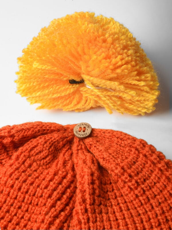 xen_beanie_goku_listinge Saiyan / Super Saiyan